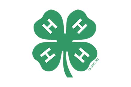 Contactless event ticketing solution with attendee data collection and instant info exchange.